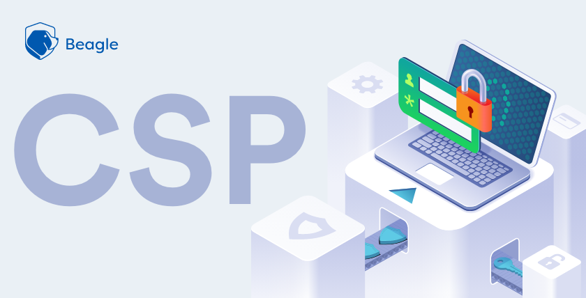 CSP Nedir?(Content Security Policy)